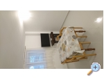 Apartmny Pandzic - Makarska Chorvatsko