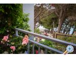 Apartmny Romilda, by the beach - Makarska Chorvatsko