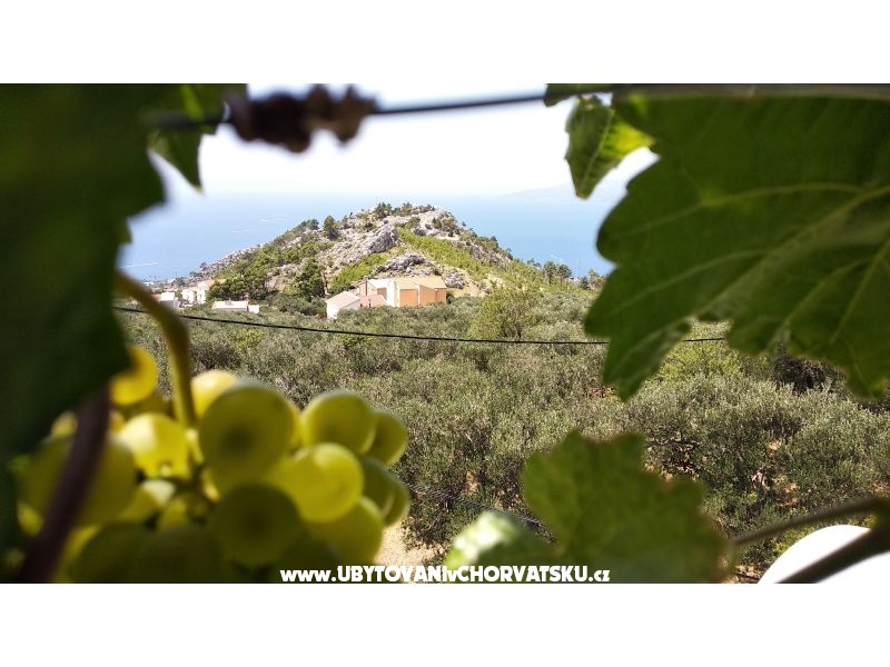 Appartement Veliko Brdo – Ferienwohnung Makarska, Kroatien – Foto 13