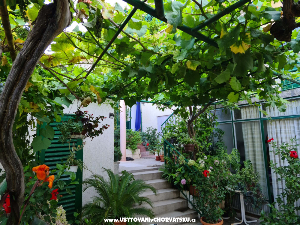 Apartm�ny Vinea - Makarska Chorv�tsko