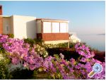 Apartmn Lara - Makarska Chorvatsko