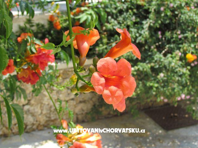 Silva apartments – ubytování Makarska, Chorvatsko – foto 13