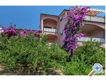 Vila Roza - Makarska Chorvatsko