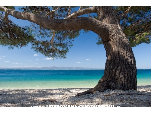 Vila Ventus - Makarska Croatie