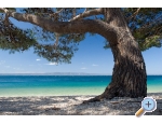 Vila Ventus - Makarska Chorvatsko