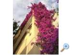 Vila Ventus - Makarska Kroatien