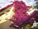 Vila Ventus - Makarska Chorvatsko