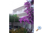 Villa Frani - Makarska Kroatien