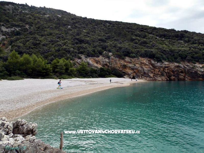 Appartements  Vodarić – Ferienwohnung Insel Mali Losinj, Kroatien – Foto 13