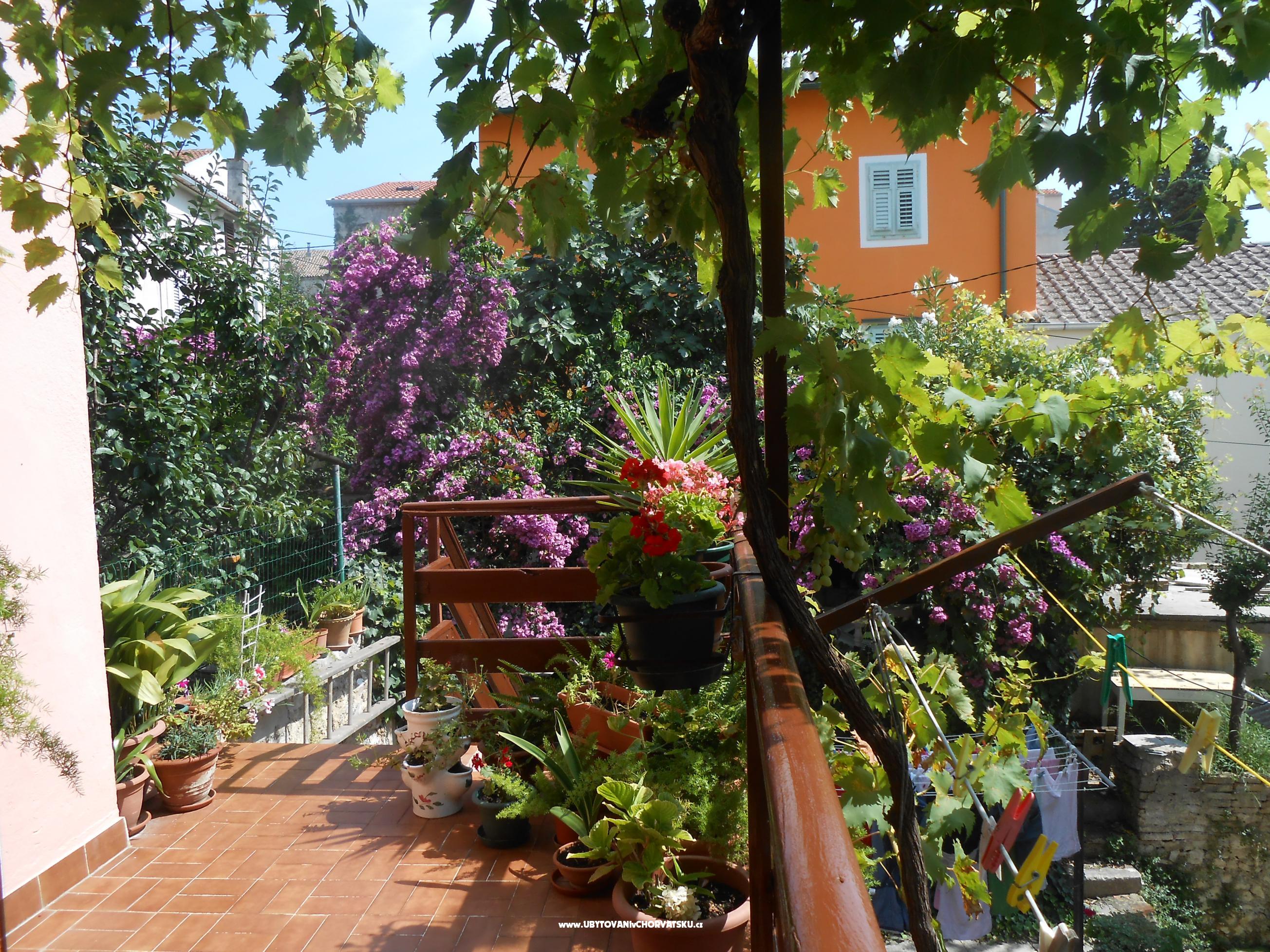 Appartements  Vodarić – Ferienwohnung Insel Mali Losinj, Kroatien – Foto 8