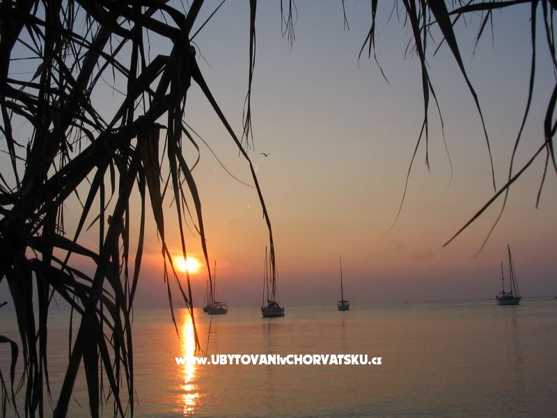 Big &amp; Small Konoba – Ferienwohnung Insel Mali Losinj, Kroatien – Foto 7