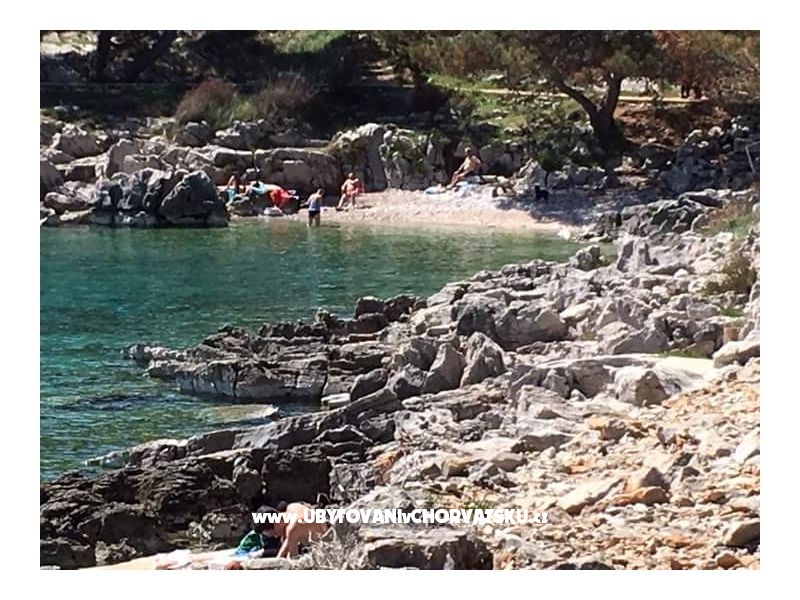 Appartements Ola – Ferienwohnung Insel Mali Losinj, Kroatien – Foto 8