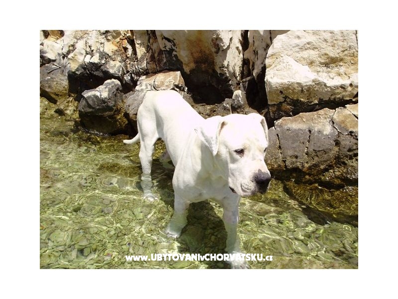 Apartment Miro – Ferienwohnung Marina – Trogir, Kroatien – Foto 14