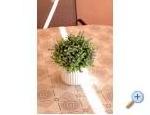Appartements Ivanka - Marina  Trogir Kroatien