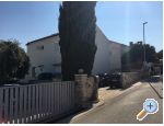 Appartements Jadran Sevid - Marina  Trogir Croatie