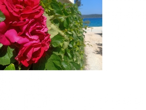 Luxury Villa Marin Appartements - Marina  Trogir Croatie