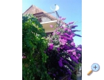 Haus Marino - Marina  Trogir Kroatien