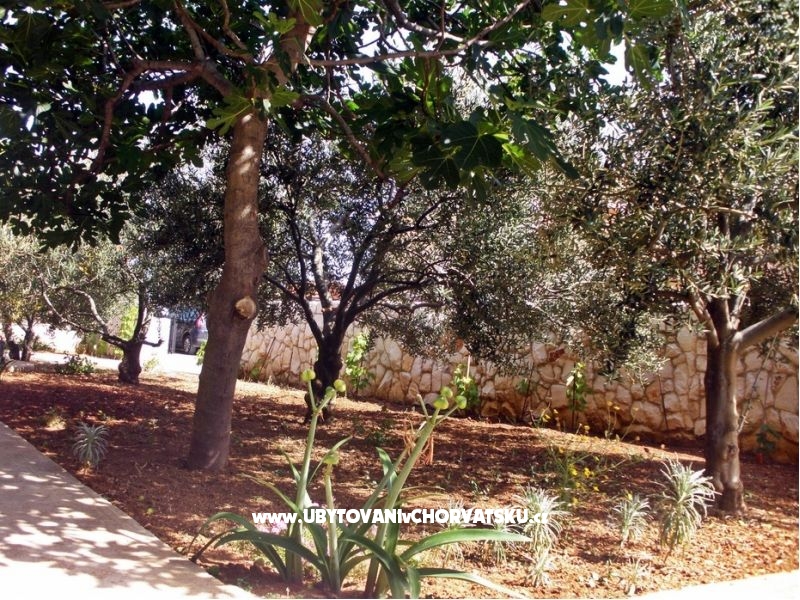 Appartements Periš Sevid – Ferienwohnung Marina – Trogir, Kroatien – Foto 5