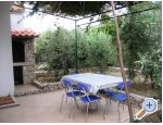 Appartements Mirjana - Marina  Trogir Croatie