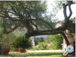 Ferienwohnungen Mira &amp; Vinko - Marina  Trogir Kroatien