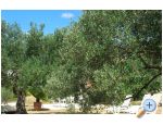 Ferienwohnungen Mira &amp; Vinko - Marina  Trogir Kroatien