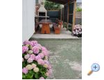 Appartements Mirakul - Sevid - Marina  Trogir Croatie