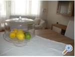 Apartment Zlata - Maslenica Kroatien