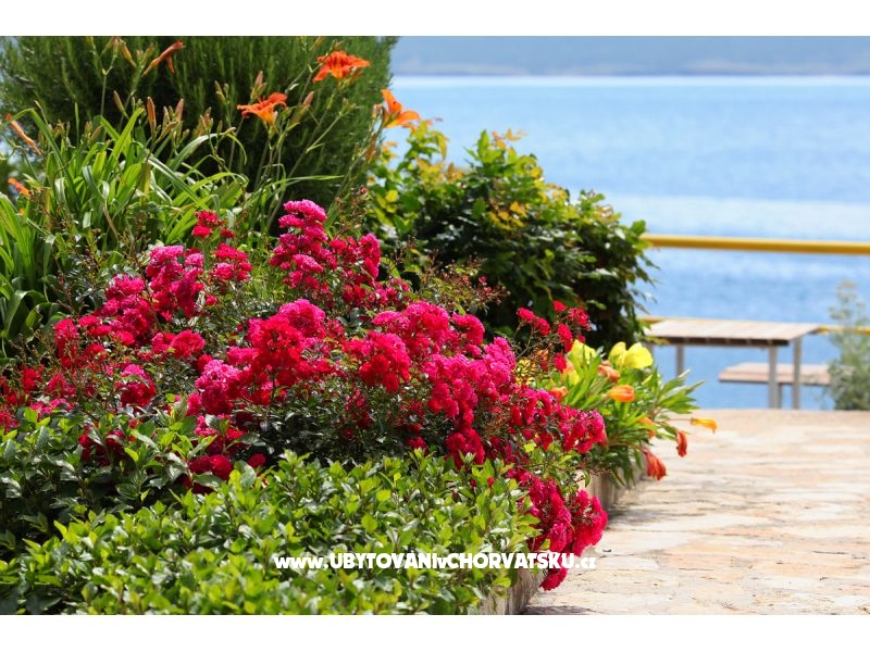 Apartmány Mare – ubytování Maslenica, Chorvatsko – foto 17