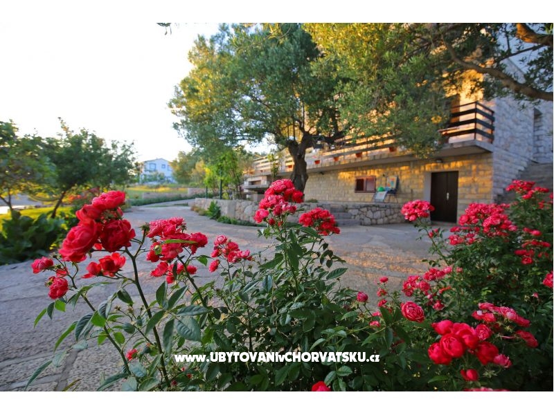 Appartements Nekic  – Ferienwohnung Maslenica, Kroatien – Foto 16