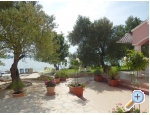 Appartements Villa Maslina - Maslenica Kroatien
