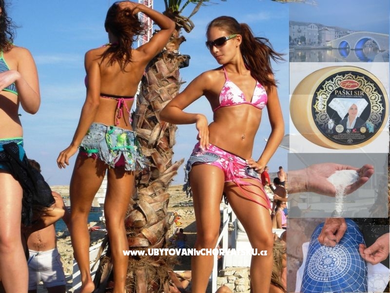 Central Apartmán with Balcony – ubytování Maslenica, Chorvatsko – foto 15