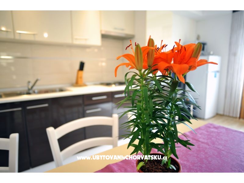 Appartements Anita – Ferienwohnung Medulin, Kroatien – Foto 6
