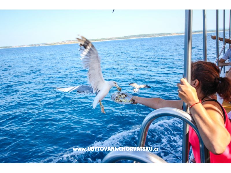 Appartements Milena – Ferienwohnung Medulin, Kroatien – Foto 12