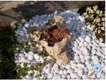 Appartements Tony - Medulin Croatie