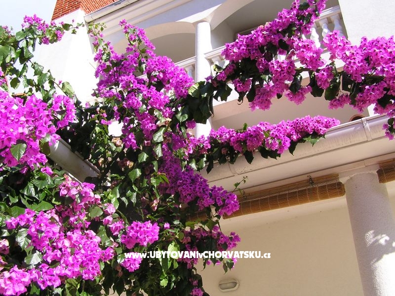 Ferienwohnungen Paloma blanca - Oaza Reg – Ferienwohnung Medulin, Kroatien – Foto 2