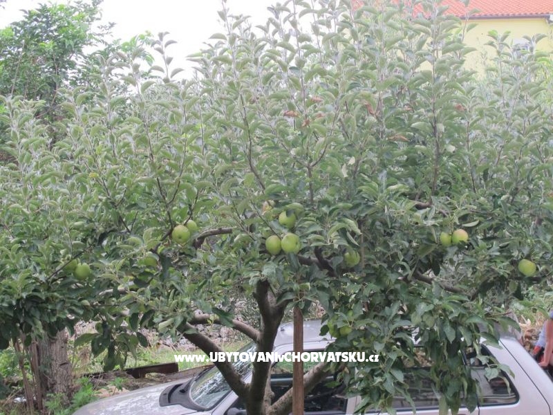 App Luna – Ferienwohnung Medulin, Kroatien – Foto 10