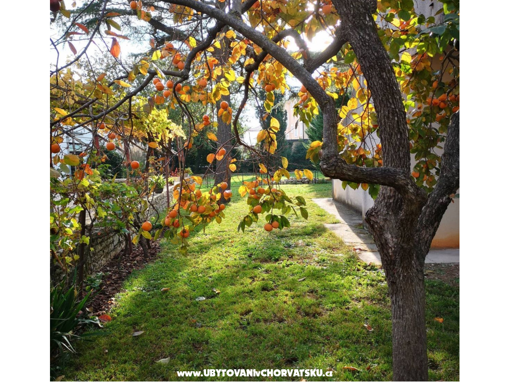 Flowers Apartm�n Medulin, Fucane 2 - Medulin Chorv�tsko