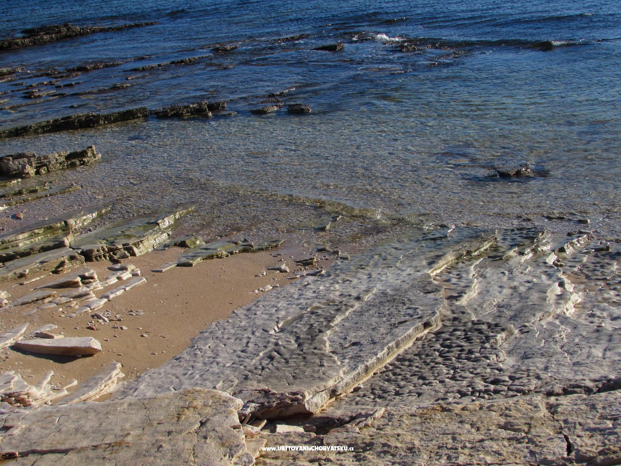 Dům Oliva – ubytování Medulin, Chorvatsko – foto 2