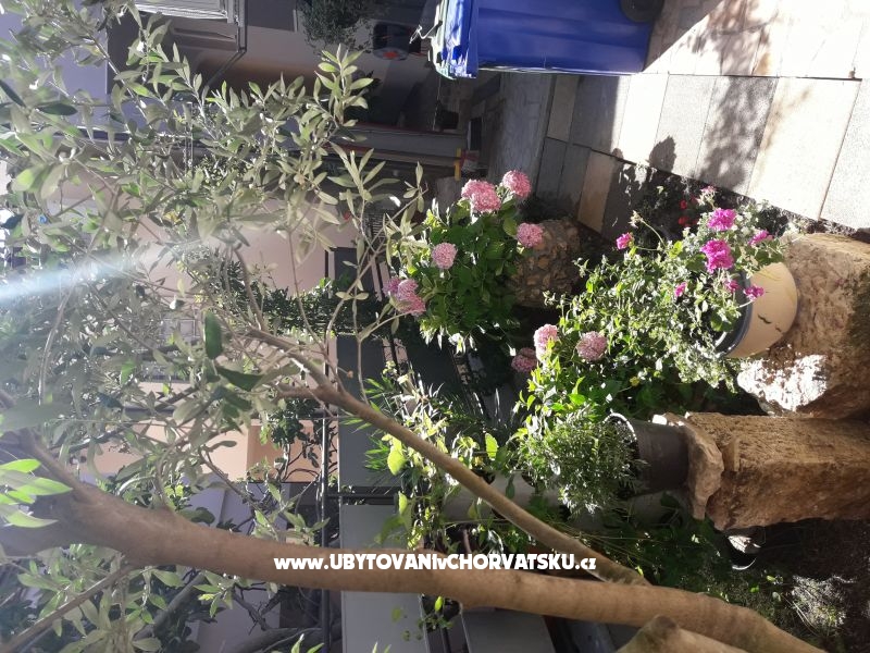 Ferienwohnungen SUNI – Ferienwohnung Medulin, Kroatien – Foto 6