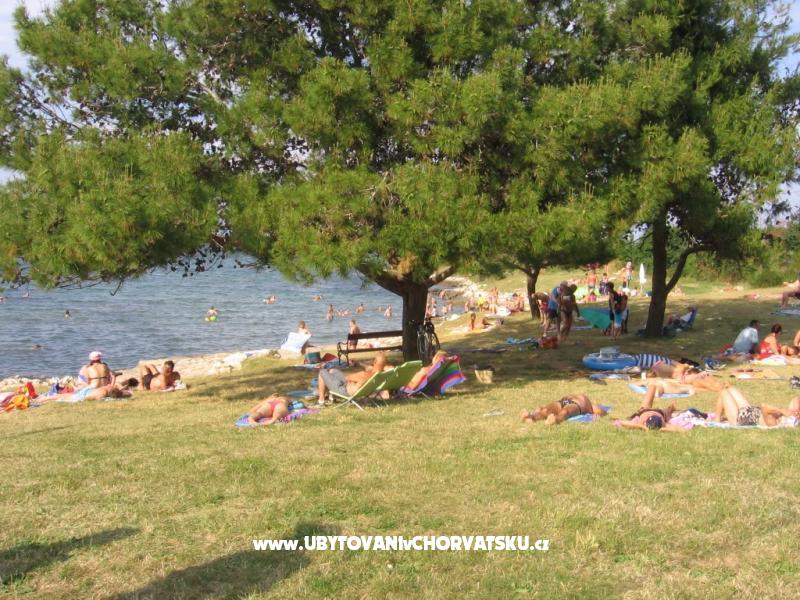 Appartements Tomy – Ferienwohnung Medulin, Kroatien – Foto 17