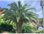 Appartements Rubini - Moenika Draga Croatie