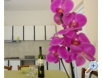 Appartements Vera - Moenika Draga Kroatien
