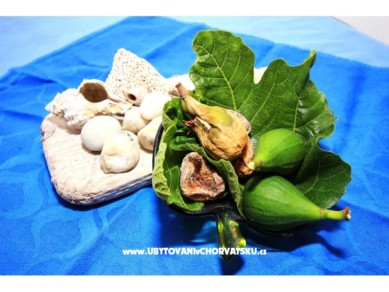 Apartment Dino Murter – Ferienwohnung Insel Murter, Kroatien – Foto 2