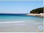 Appartement Vesna - Murter Croatie