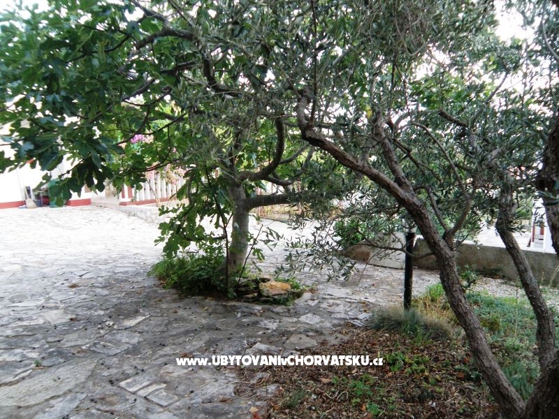 Appartements Florijana – Ferienwohnung Insel Murter, Kroatien – Foto 6