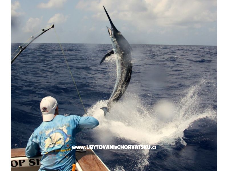 Appartements Irena – Ferienwohnung Insel Murter, Kroatien – Foto 15