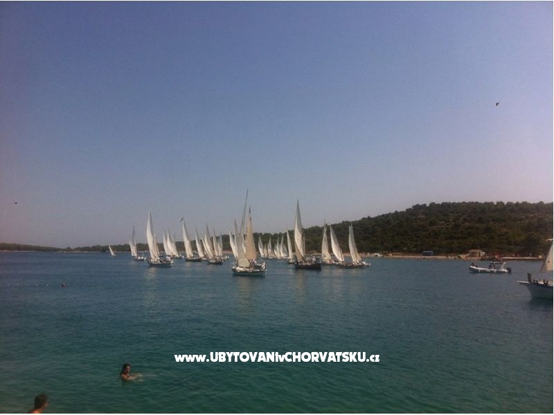 Appartements Jadranka – Ferienwohnung Insel Murter, Kroatien – Foto 8