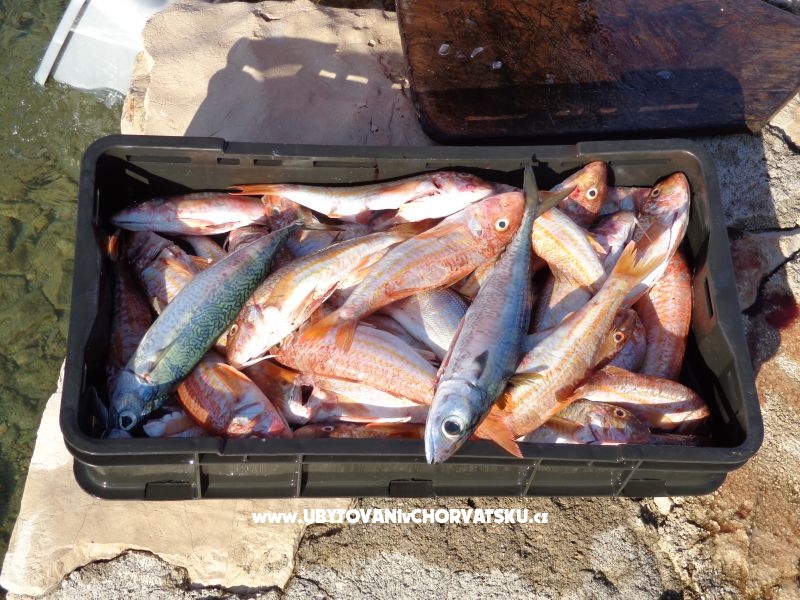 Lavsa Tri sestrice – ubytování Murter, Chorvatsko – foto 18