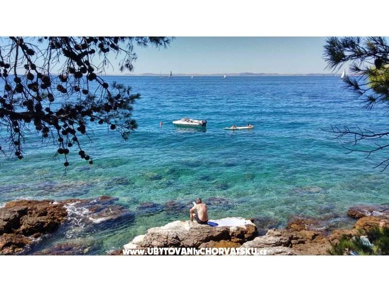 Miljenko – Ferienwohnung Insel Murter, Kroatien – Foto 14