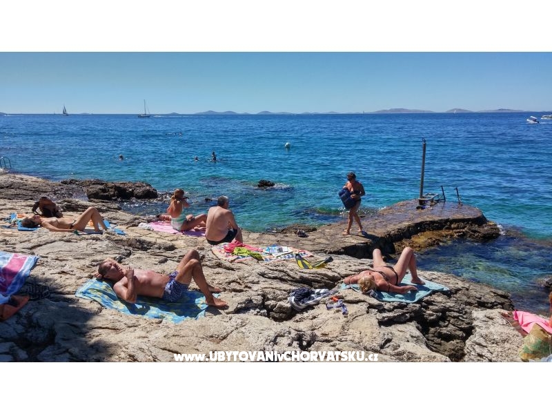 Miljenko – Ferienwohnung Insel Murter, Kroatien – Foto 4